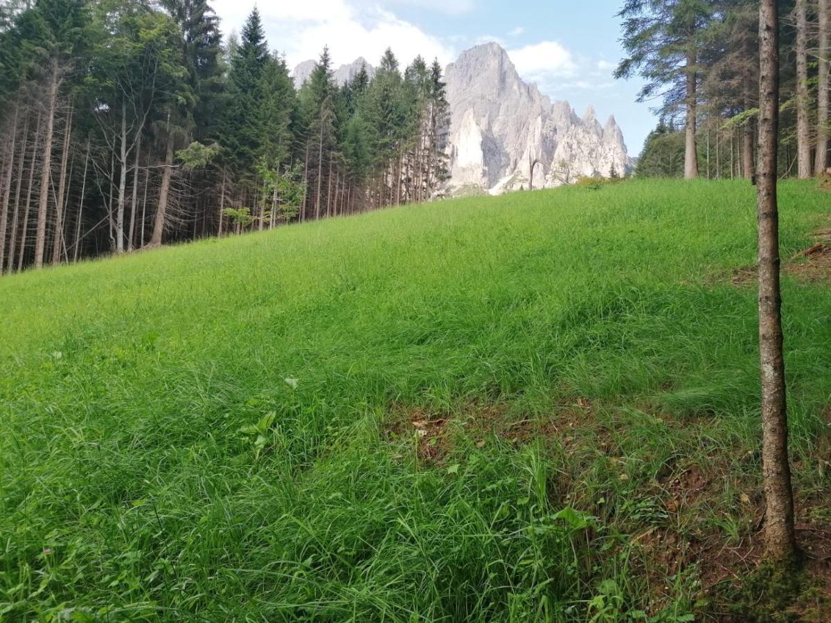 Baita Pra Petina Pale Di San Martino Siror Exterior photo